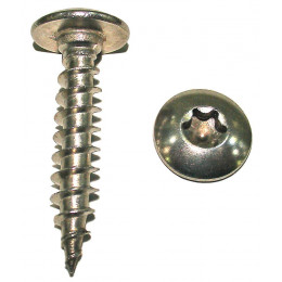 10 vis penture tête cylindrique torx inox A2 6x40mm