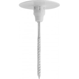 100 clous avec tête en plastique longueur 80mm