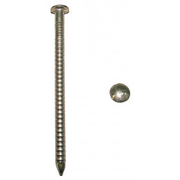 500g pointes annelées tête ronde bombée inox A4 L.50mm