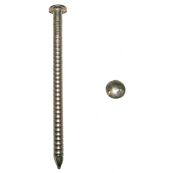 500g pointes annelées tête ronde bombée inox A4 L.50mm