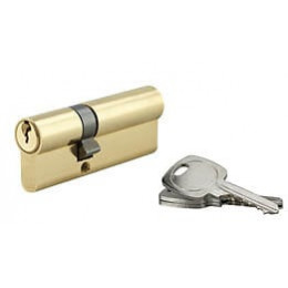 Cylindre profil laiton 5 goupilles 30x50mm 3 clés