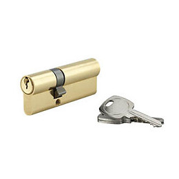 Cylindre profil laiton 5 goupilles 30x50mm 3 clés