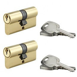 Lot 2 cylindres profil laiton 5 goupilles 30x30mm 6 clés