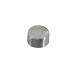 Plot magnétique argent diamètre 9mm - 6 pièces