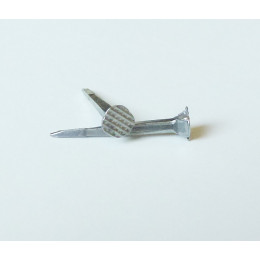 Semence cordonnier blanchie 16mm