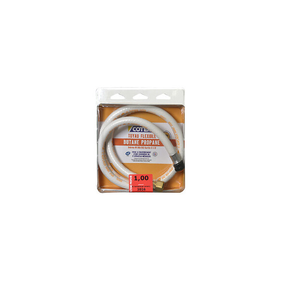 Flexible butane propane 10 ans embouts à visser 1m NF
