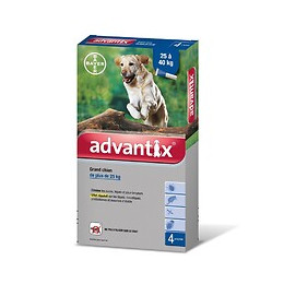Antiparasitaire externe pour chiens Advantix grand chien de 25à40kg