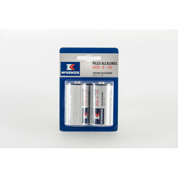 2 piles alcaline LR20