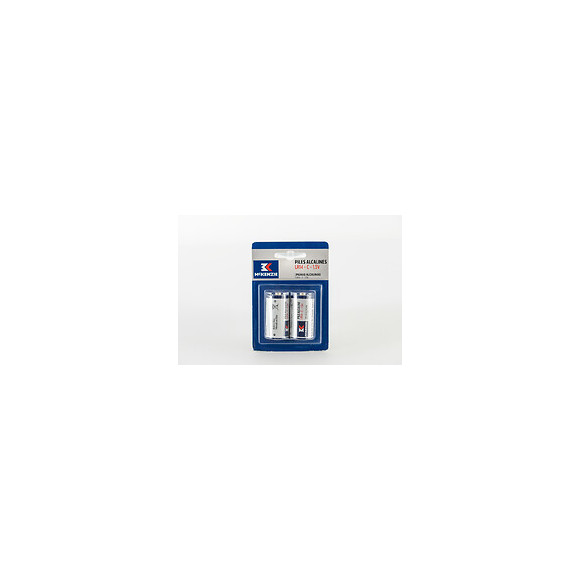 2 piles alcaline LR14