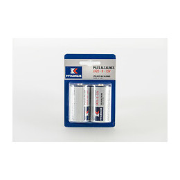 2 piles alcaline LR20