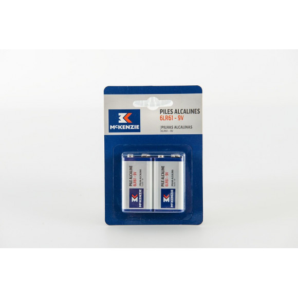 2 piles alcaline 6LR61