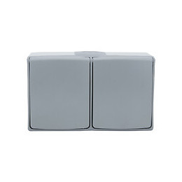 Double Prise 2P+T IP55 ETAN