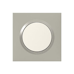 Plaque carrée dooxie 1 poste finition plume