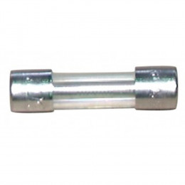 Blister de 5 fusibles verre 10A diamètre 5x20mm