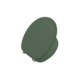 ABATTANT BOIS MOULÉ VERT EUCA