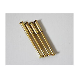 Carte 4 vis 2 embouts couleur or PERFECTLINE