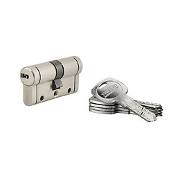 Cylindre profil 12 goupilles nickel 30x30mm 5 clés