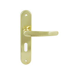 Poignée sur plaqué clé Ludon zamak laitonné entraxe 195mm