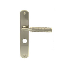 Poignée sur plaqué condamnation Jussieu L nickelé mat entraxe 195mm