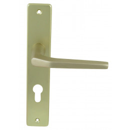 Poignée sur plaqué cylindre cariou av un coté rallongé entraxe 195mm