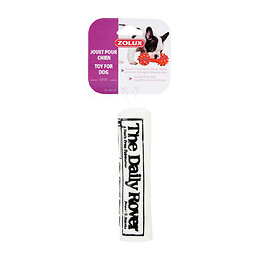 Jouet journal vinyl 17CM