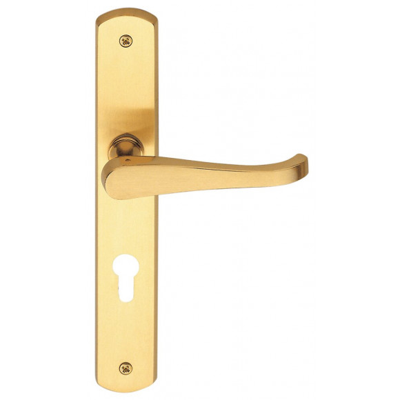 Poignée de porte Lucia laiton perçage cylindre entraxe 165mm