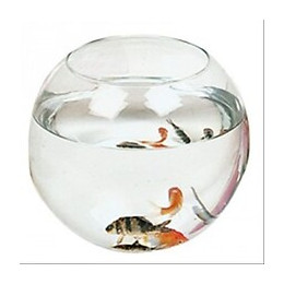 Aquarium boule 23cm