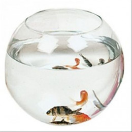 Aquarium boule 23cm