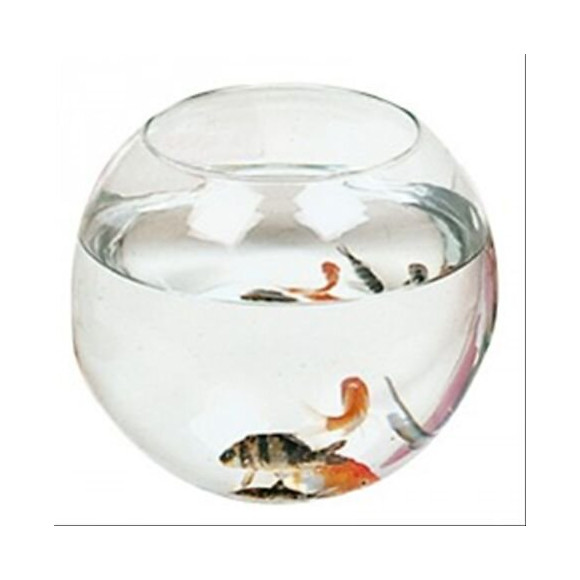 Aquarium boule 23cm