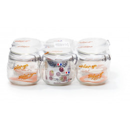 Lot de 6 bocaux 0.5 litres diamètre 85