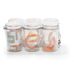 Le parfait pack de 6 terrines 1000 gr