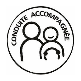 Disque électrostatique conduite accompagnée