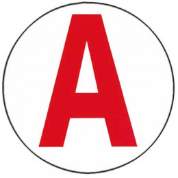 Disque magnetique pour jeune conducteur