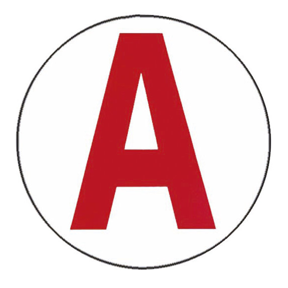 Disque électrostatique pour jeune conducteur A