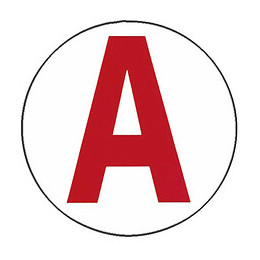 Disque magnetique pour jeune conducteur