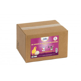 KIT DE CHAUFFAGE POUR POUSSINS 