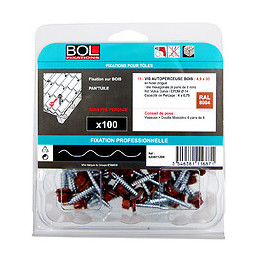 100 vis 4.9x35 RAL 8004