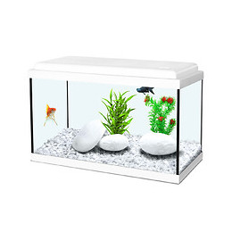 Aquarium nanolife KIDZ 40 blanc