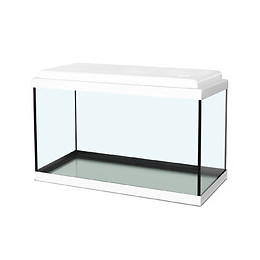 Aquarium nanolife KIDZ 40 blanc