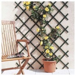 Kit promo bc1 sciage Boîte à coupe et scie