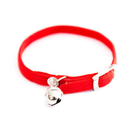 Collier pour chat Nylon tubulaire rouge