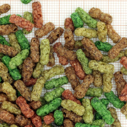 Alimentation pour poisson de bassin de jardin