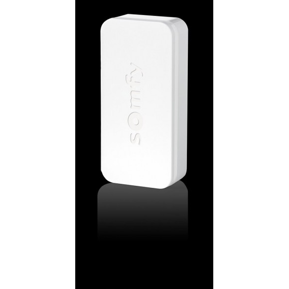 Détecteur vibration anti-intrusion Intellitag