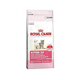 Croquettes chat KITTEN 400g