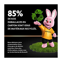 2 Piles Alcalines PLUS type 9 Volts - 6LR61