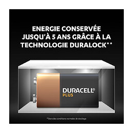 2 Piles Alcalines PLUS type 9 Volts - 6LR61