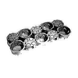 Lot 10 boîtes d'encastrement cloison sèche diamètre 65mm