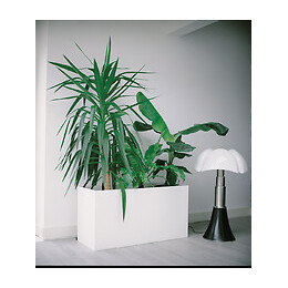 Plaque PVC expansé blanc 6mm 0.50x1m