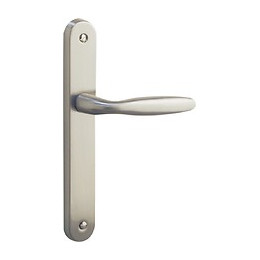 Ensemble sur plaque bristol alu nickel mat bec de cane entr 195mm