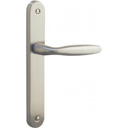 Ensemble sur plaque bristol alu nickel mat bec de cane entr 195mm